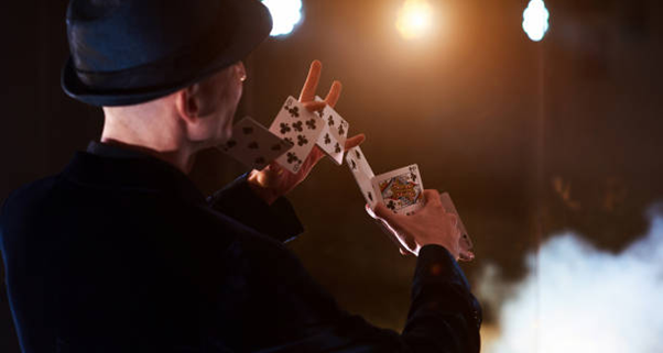 Professional Magic Shows