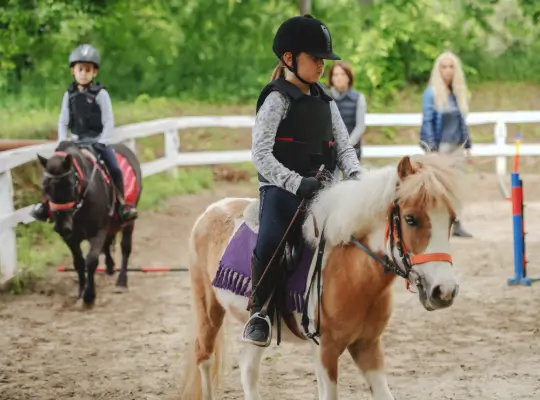 ponies-page-section-image