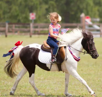 Ponies